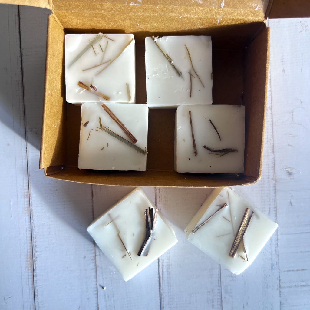 Wax Melts Foco · Capim-Limão & Bergamota