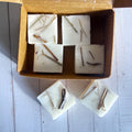 Wax Melts Foco · Capim-Limão & Bergamota