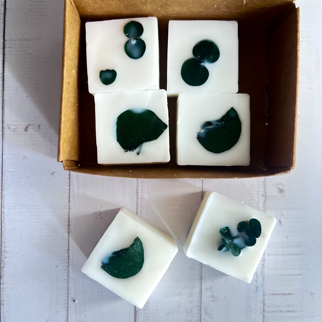 Wax Melts Leveza · Eucalipto & Chá Branco